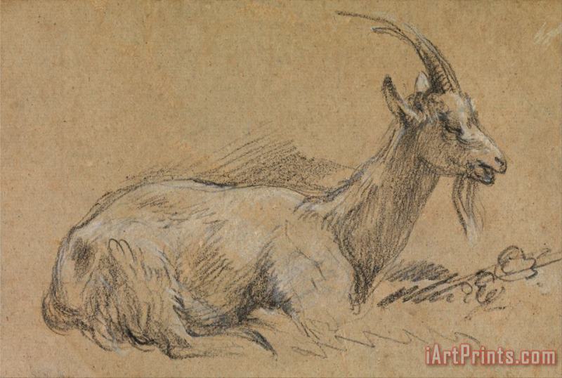 Study of a Goat painting - Gainsborough, Thomas Study of a Goat Art Print