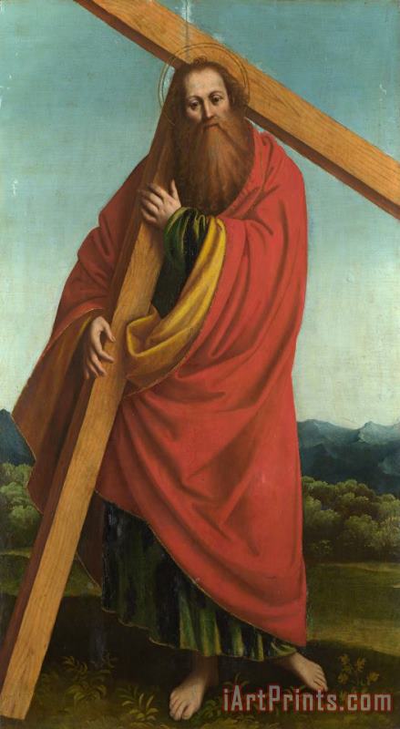 Saint Andrew painting - Gaudenzio Ferrari Saint Andrew Art Print
