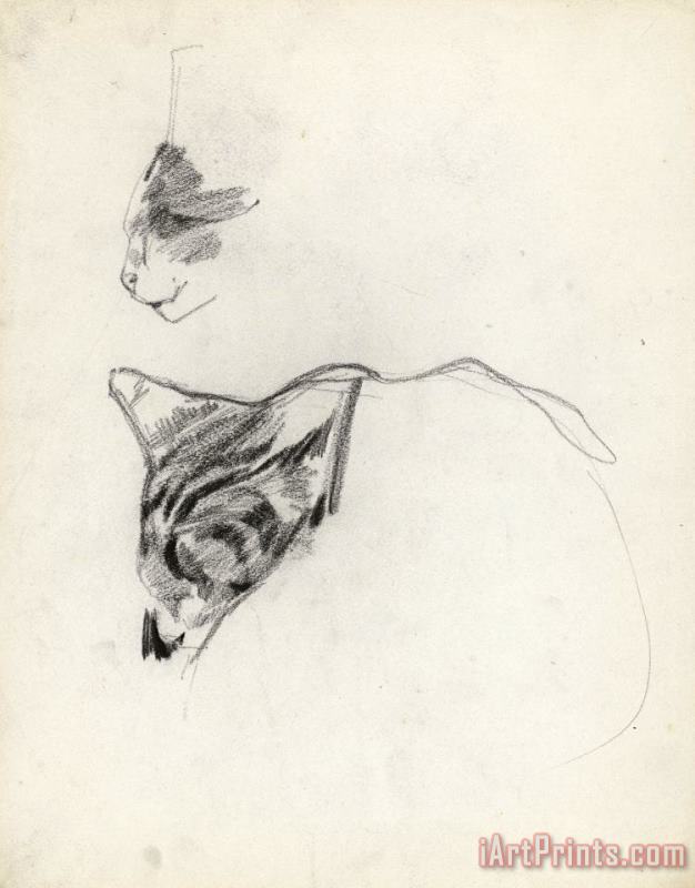 George Hendrik Breitner Twee Studies Van Een Kat Art Print