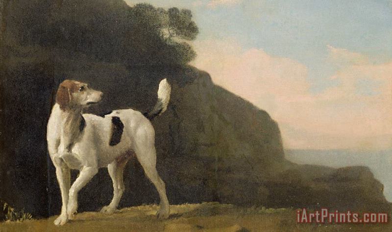 A Foxhound painting - George Stubbs A Foxhound Art Print