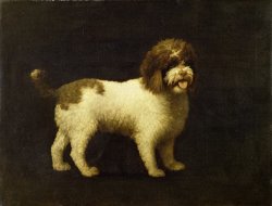 George Stubbs A Water Spaniel painting