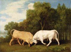 George Stubbs Bulls Fighting