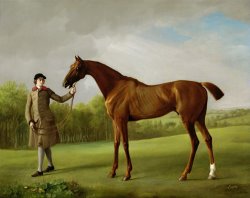 George Stubbs Lustre Held By A Groom