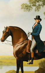 George Stubbs Portrait Of Warren Hastings Small Full Length On His Celebrated Arabian painting