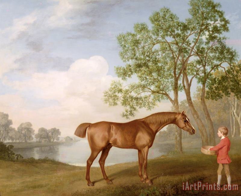 George Stubbs Pumpkin with a Stable-Lad Art Painting