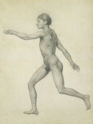 George Stubbs The Entire Human Figure From The Left Lateral View painting