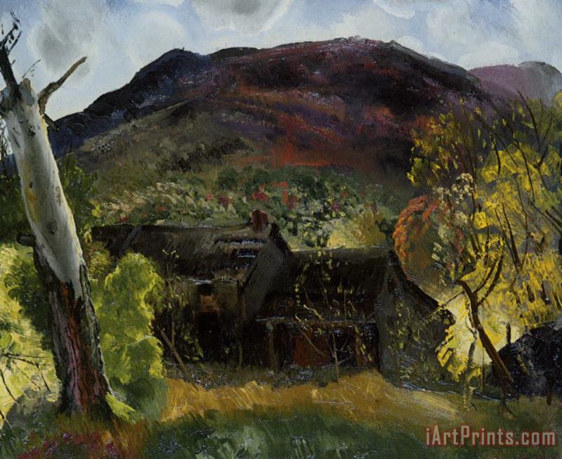 Blasted Tree And Deserted House painting - George Wesley Bellows Blasted Tree And Deserted House Art Print