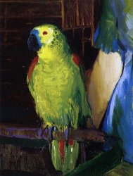 George Wesley Bellows Parrot painting