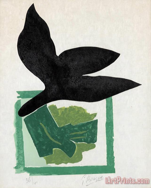 Georges Braque Oiseau Noir Sur Fond Vert (v. 181), 1962 Art Print