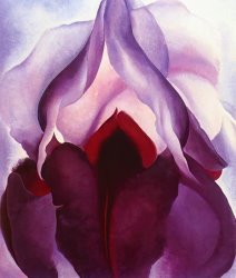 Floral Art for sale - Flower of Life II by Georgia O'keeffe