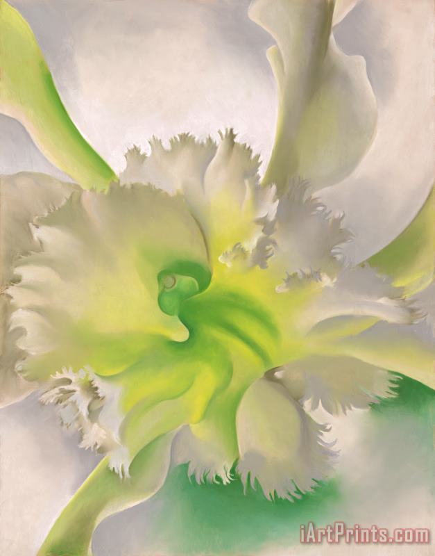 Georgia O'keeffe An Orchid Art Painting