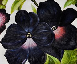 Georgia O'keeffe Black And Purple Petunias