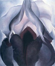 Georgia O'keeffe Black Iris 1