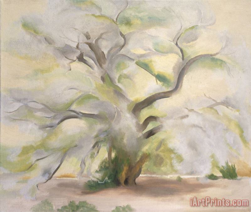 Georgia O'keeffe Cottonwoods Near Abiquiu, 1950 Art Painting
