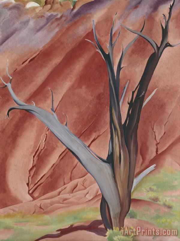 Gerald's Tree I, 1937 painting - Georgia O'keeffe Gerald's Tree I, 1937 Art Print