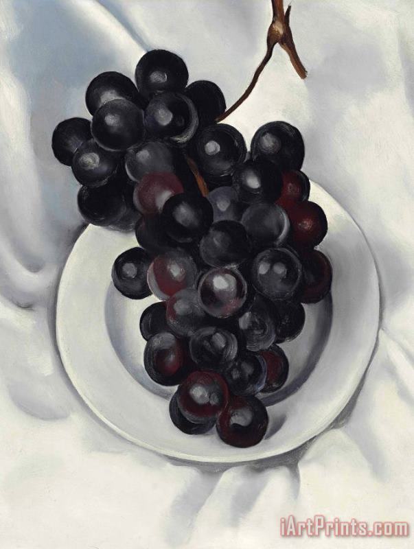 Grapes No. 2, 1927 painting - Georgia O'keeffe Grapes No. 2, 1927 Art Print