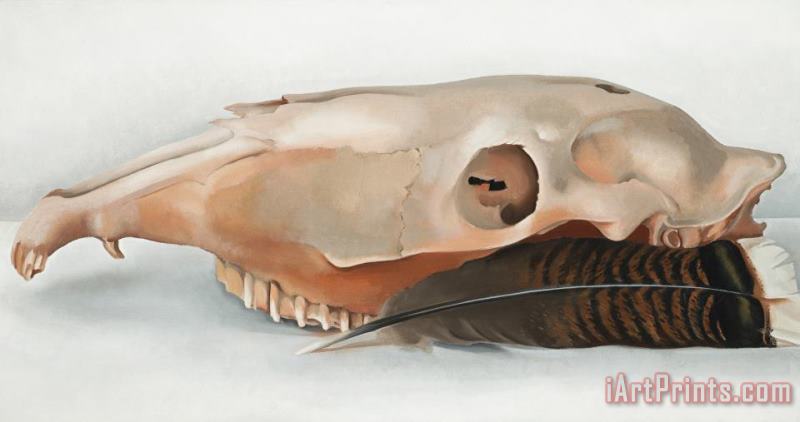 Georgia O'Keeffe Horizontal Horse's Or Mule's Skull with Feather Art Painting