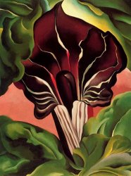 Georgia O'keeffe Jack in The Pulpit II