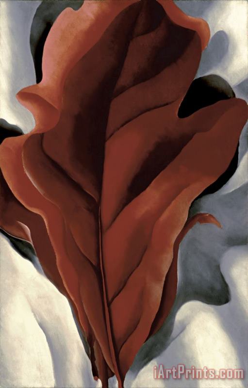 Georgia O'keeffe Large Dark Red Leaves on White Art Painting