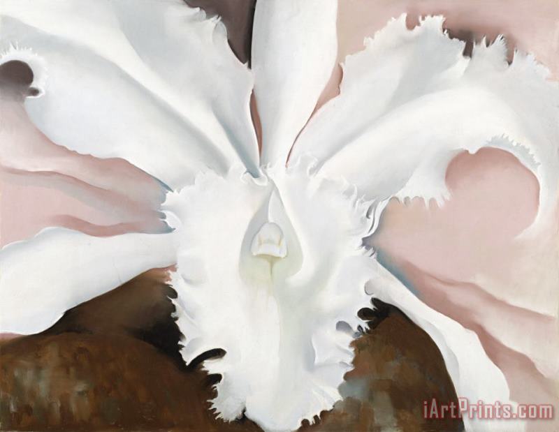 Georgia O'Keeffe Narcissa's Last Orchid Art Print