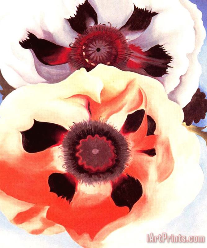 Georgia O'keeffe Poppies Art Painting