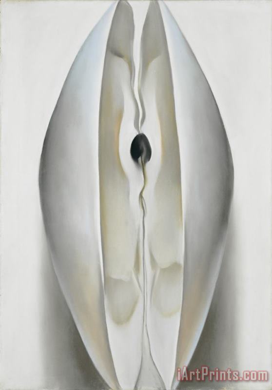 Slightly Open Clam Shell painting - Georgia O'Keeffe Slightly Open Clam Shell Art Print