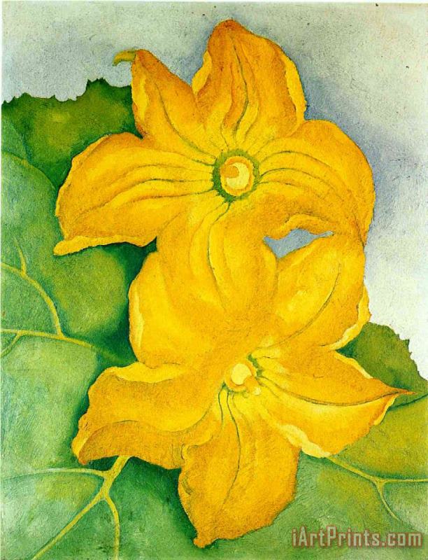 Georgia O'keeffe Squash Blossoms I Art Painting