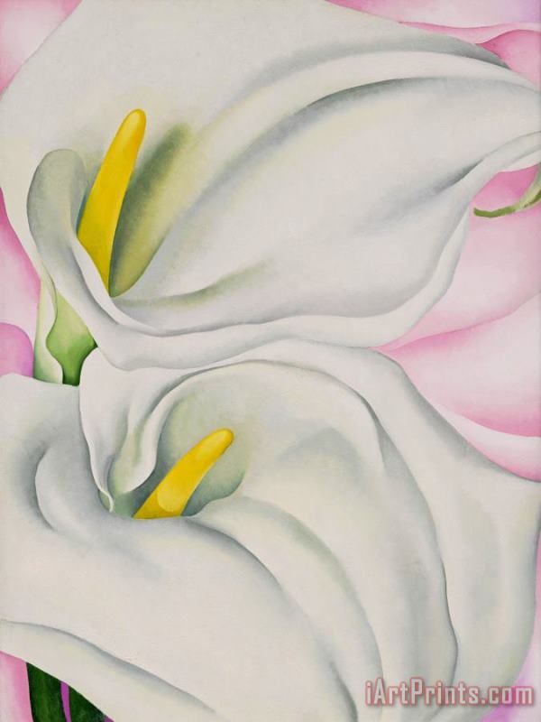 Two Calla Lilies on Pink, 1928 painting - Georgia O'keeffe Two Calla Lilies on Pink, 1928 Art Print