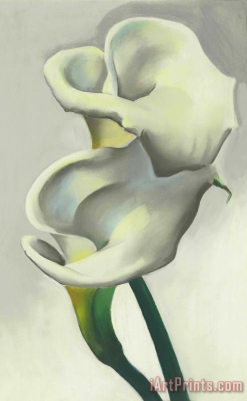 Two Calla Lilies Together painting - Georgia O'keeffe Two Calla Lilies Together Art Print