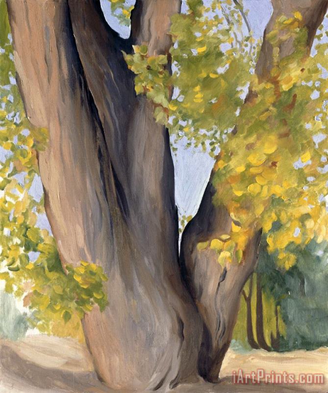 Untitled (cottonwood Tree), 1945 painting - Georgia O'keeffe Untitled (cottonwood Tree), 1945 Art Print
