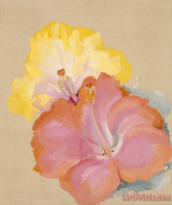Georgia O'keeffe Untitled (hibiscus), 1939 Art Painting