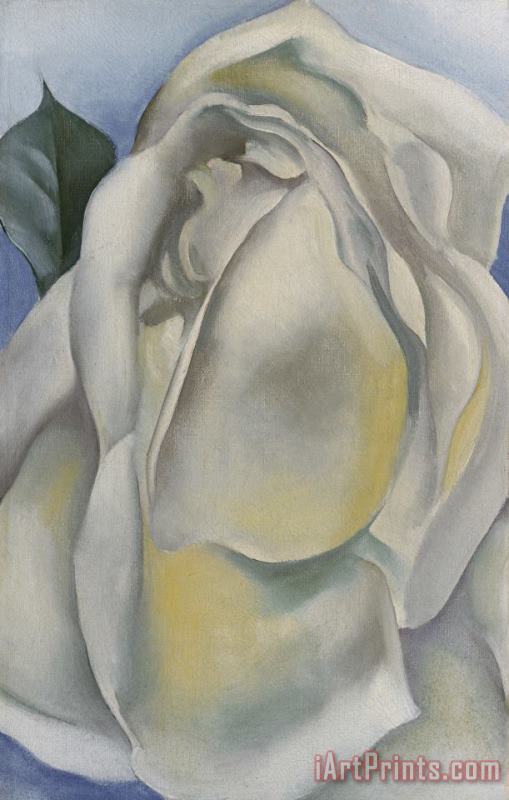 Georgia O'Keeffe White Rose Art Painting