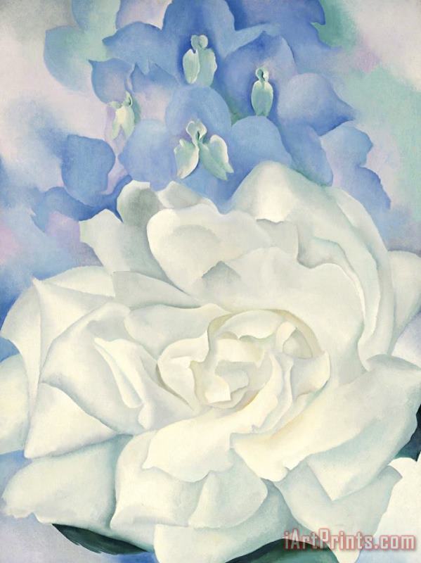 White Rose with Larkspur No. 2, 1927 painting - Georgia O'keeffe White Rose with Larkspur No. 2, 1927 Art Print