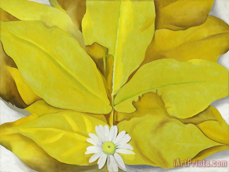 Yellow Hickory Leaves with Daisy, 1928 painting - Georgia O'keeffe Yellow Hickory Leaves with Daisy, 1928 Art Print