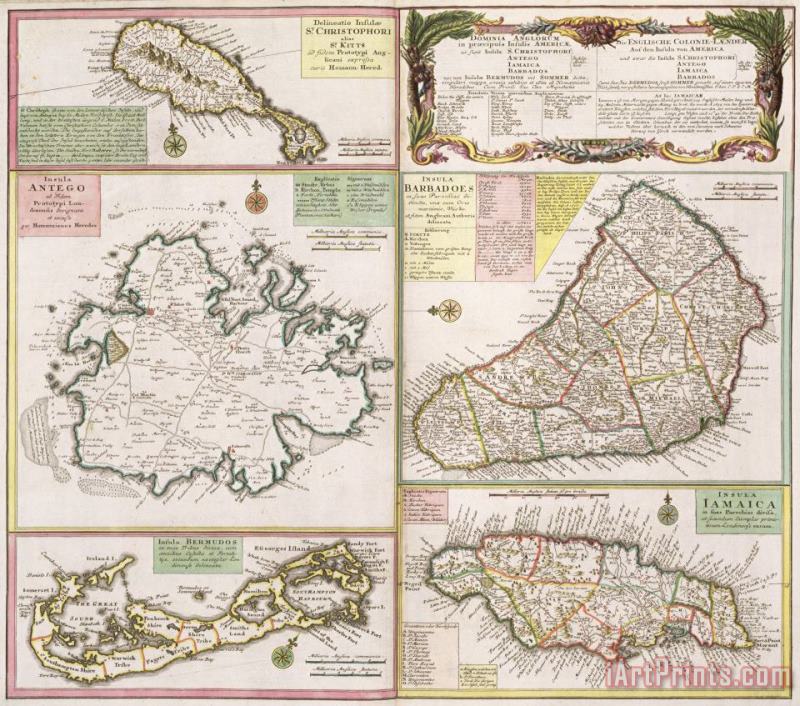 Old Map of English Colonies in the Caribbean painting - German School Old Map of English Colonies in the Caribbean Art Print