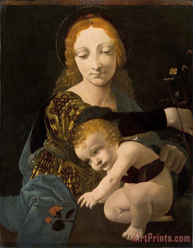 The Virgin And Child (the Madonna of The Rose) painting - Giovanni Antonio Boltraffio The Virgin And Child (the Madonna of The Rose) Art Print