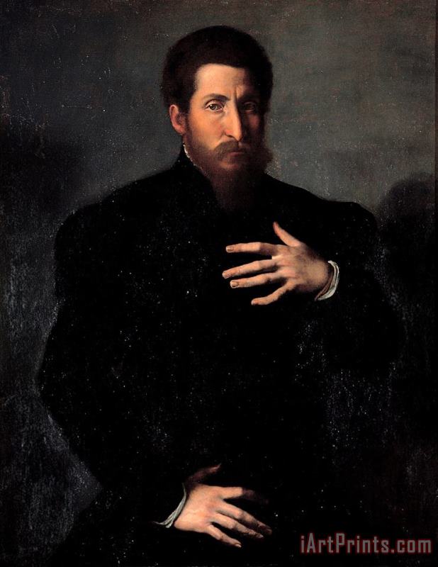 Portrait of a Virile Man painting - Girolamo da Carpi Portrait of a Virile Man Art Print