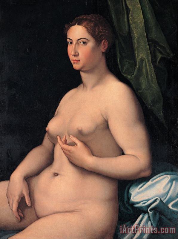 Girolamo Siciolante da Sermoneta A Seated Female Art Painting