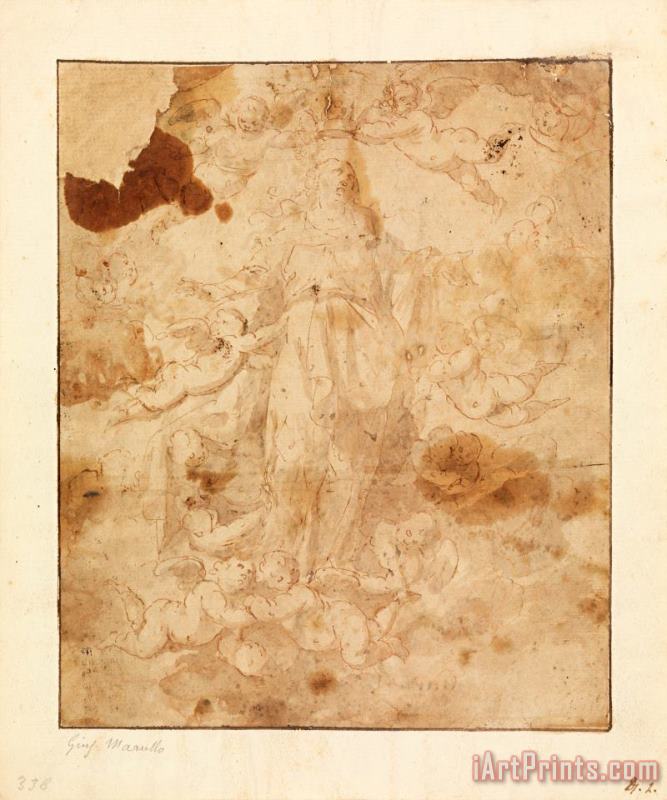 Study for The Ascension of The Virgin painting - Giuseppe Marullo Study for The Ascension of The Virgin Art Print