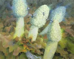 Glyn Morgan The Green Man With Fly Agaric