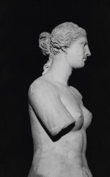 Greek School Venus de Milo