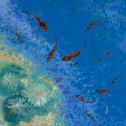 Collection 7 13 Pesciolini Rossi