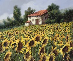 Collection 7 I Girasoli Nel Campo