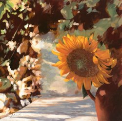 Collection 7 Il Girasole