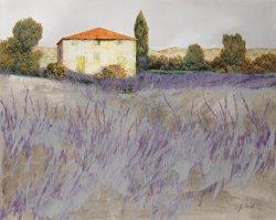 Collection 7 Lavender