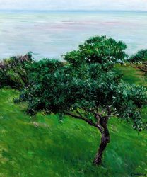 Gustave Caillebotte Apple Trees By The Sea Trouville painting