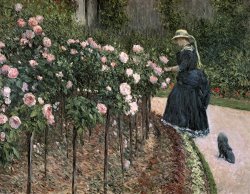 Gustave Caillebotte Roses In The Garden At Petit Gennevilliers painting