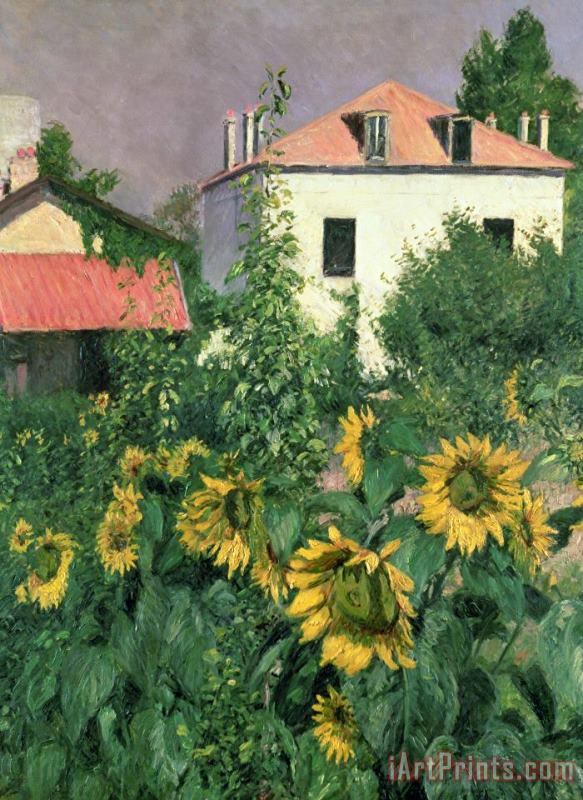 Sunflowers In The Garden At Petit Gennevilliers painting - Gustave Caillebotte Sunflowers In The Garden At Petit Gennevilliers Art Print