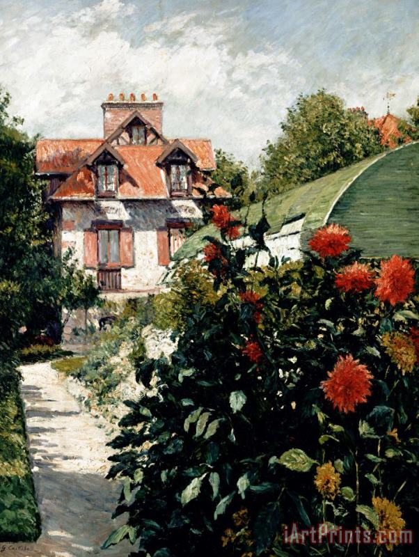 The Dahlias Garden At Petit Gennevilliers painting - Gustave Caillebotte The Dahlias Garden At Petit Gennevilliers Art Print