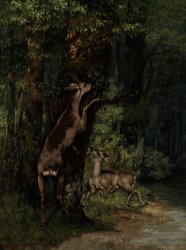 Gustave Courbet Deer In The Forest painting